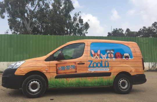 Car Wrap2